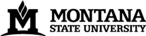 msu bozeman d2l.
